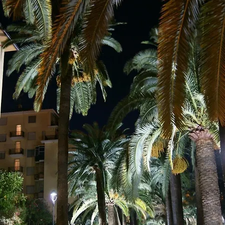 Le Di Sara - Palm * Arma di Taggia