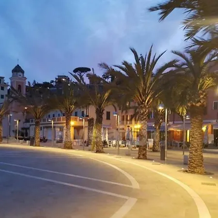 Le Di Sara - Palm *