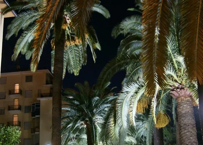 Le Di Sara - Palm * Arma di Taggia